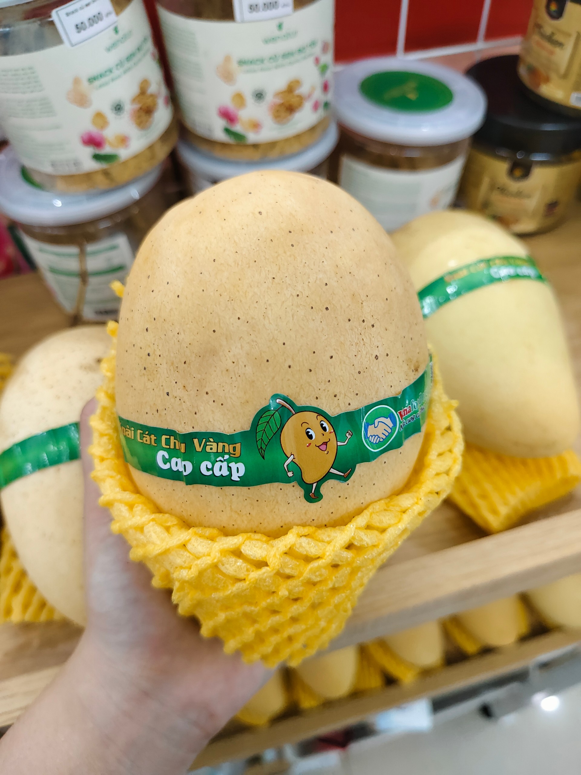 골든 깟쭈 망고 썸네일 2